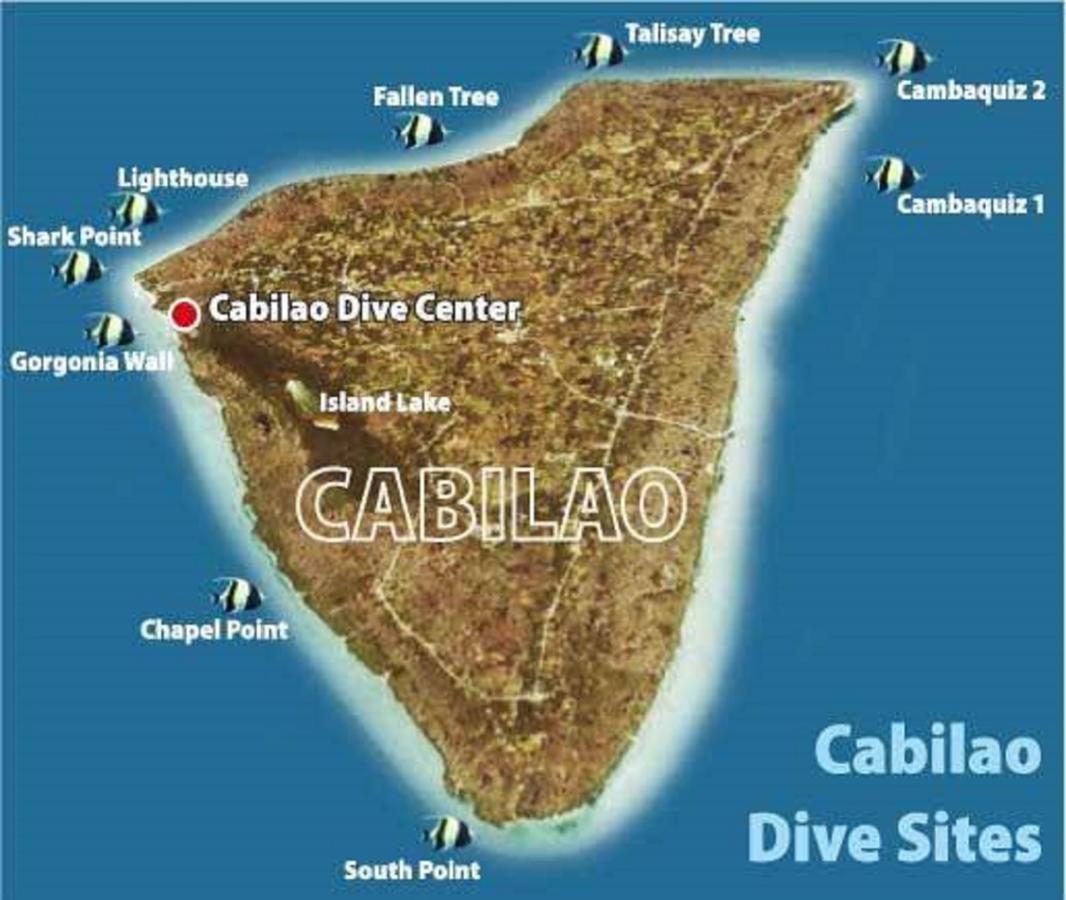 La Estrella Beach Resort & Cabilao Dive Center 隆 外观 照片